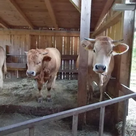 Am Bauernhof Koa Daire *