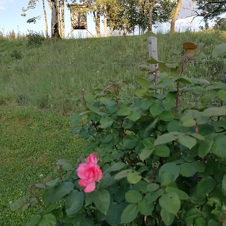 Apartamento Am Bauernhof Koa Bad Goisern