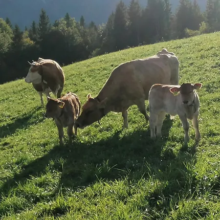 Am Bauernhof Koa Apartamento