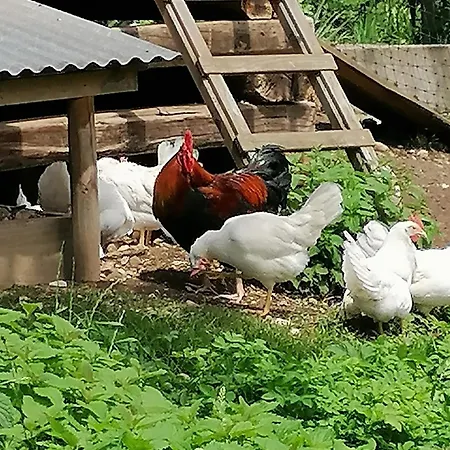 Apartamento Am Bauernhof Koa Bad Goisern