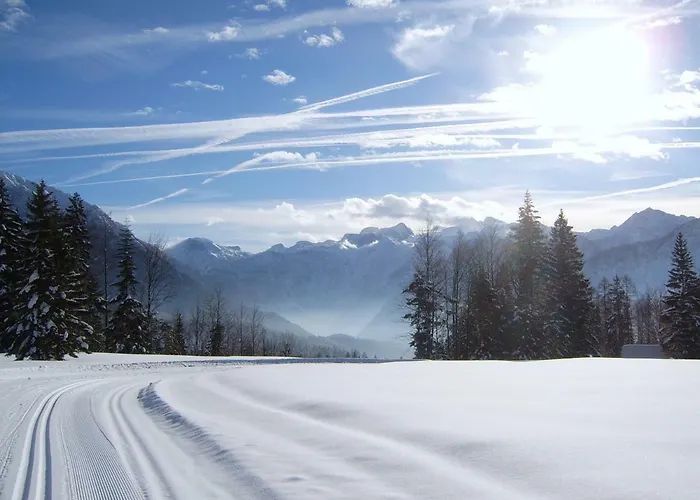 Am Bauernhof Koa アパート バート・ゴイーザーン