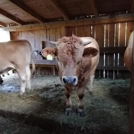 Ferienwohnung Am Bauernhof Koa