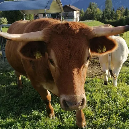 Apartment Ferienwohnung Am Bauernhof Koa *