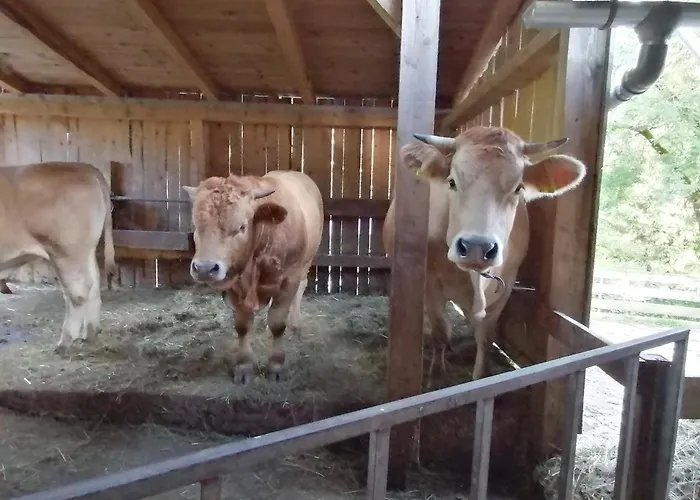 Am Bauernhof Koa 公寓 *