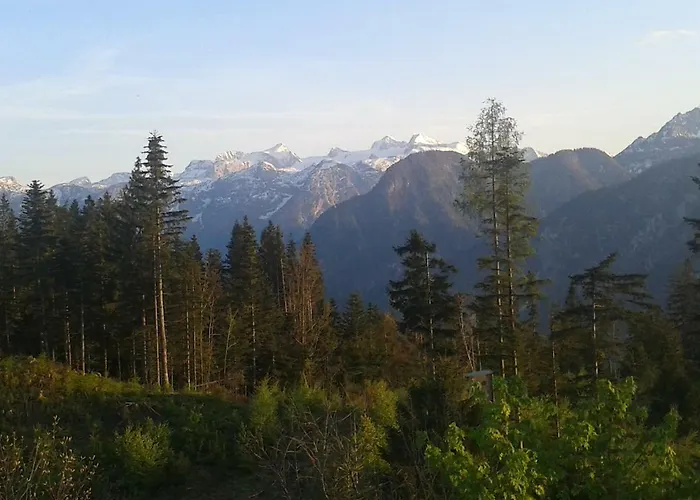 Am Bauernhof Koa * 巴德哥依斯恩